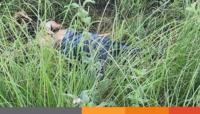 সোনারগাঁয়ে নিখোঁজের ৫ দিন পর নদীর পাড়ের ঝোপ থেকে বৃদ্ধার মরদেহ উদ্ধার সোনারগাঁয়ে নিখোঁজের ৫ দিন পর নদীর পাড়ের ঝোপ থেকে বৃদ্ধার মরদেহ উদ্ধার