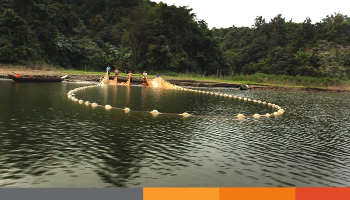 ১ মে থেকে কাপ্তাই হ্রদে মাছ শিকার বন্ধ