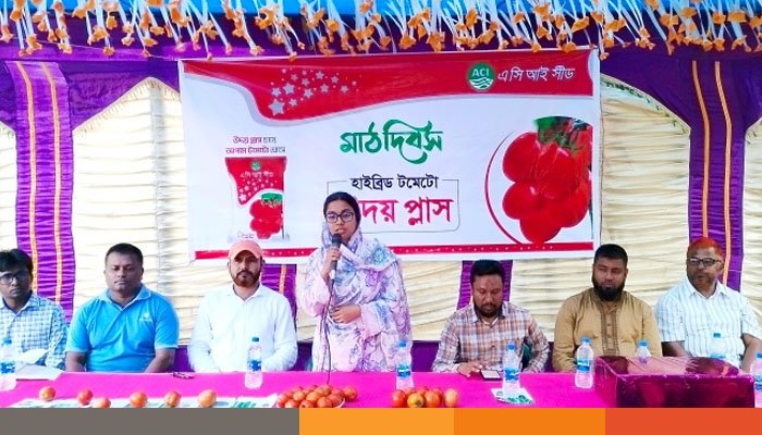 দিনাজপুরে টমেটো চাষীদের নিয়ে এসিআই সীডের মাঠ দিবস অনুষ্ঠিত