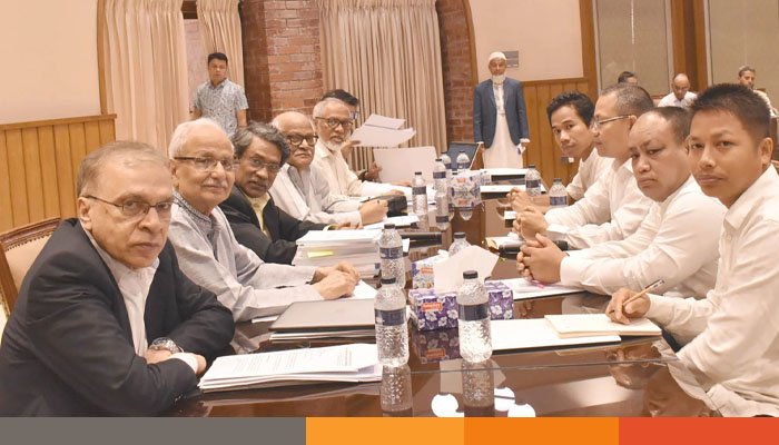 জাতীয় সনদ নাগরিকের সব অধিকার সুরক্ষিত করতে পারে: আলী রীয়াজ