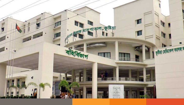 মেহেরপুরে লাটাহাম্বারের ধাক্কায় মাদ্রাসা ছাত্র নিহত