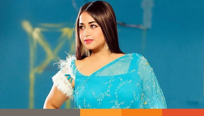 সুগার ড্যাডি থাকলে মিডিয়াতে কম কাজ করেও টাকা কামানো যায়: ফারিয়া