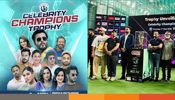 celebrity cricket