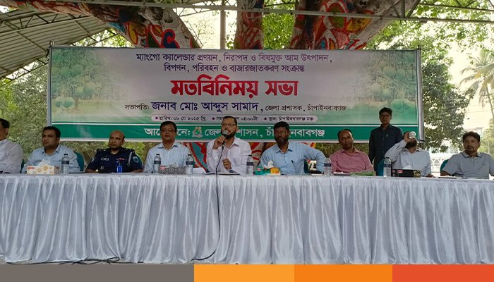 চাঁপাইনবাবগঞ্জে থাকছেনা সময়সীমা, আম পাকলেই পাড়া যাবে চাঁপাইনবাবগঞ্জে থাকছেনা সময়সীমা, আম পাকলেই পাড়া যাবে