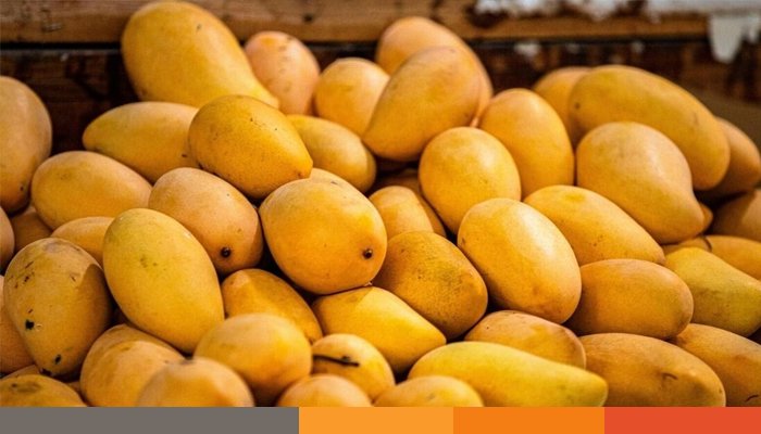 জেনে নিন কেমিক্যালমুক্ত আমের ৫টি লক্ষণ জেনে নিন কেমিক্যালমুক্ত আমের ৫টি লক্ষণ