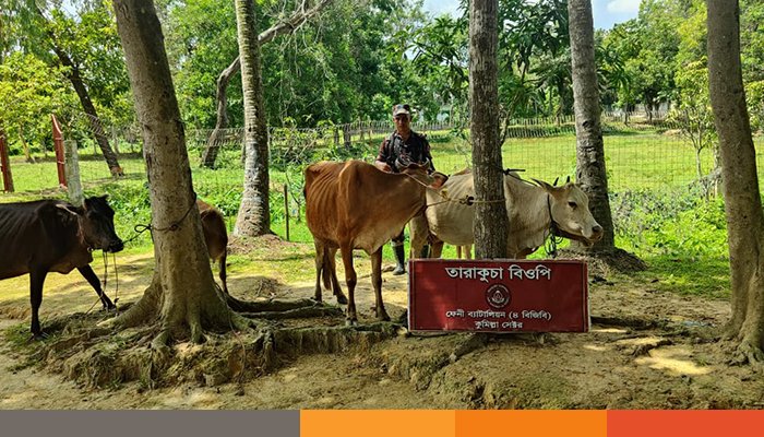 ফেনীর ফুলগাজী-ছাগলনাইয়া সীমান্তে ৯৬ লক্ষ টাকার চোরাচালান পণ্য জব্দ ফেনীর ফুলগাজী-ছাগলনাইয়া সীমান্তে ৯৬ লক্ষ টাকার চোরাচালান পণ্য জব্দ