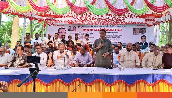 ঝিনাইদহে বজ্রপাতে প্রাণ হারানো কৃষক পরিবার পেল তারেক রহমানের সহায়তা