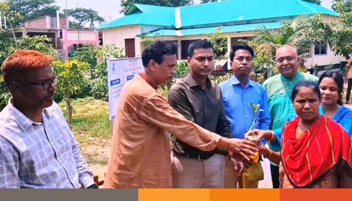 নেত্রকোনায় কৃষকদের মাঝে বিনামূল্যে ফলের চারা ও হলুদের বীজ বিতরণ নেত্রকোনায় কৃষকদের মাঝে বিনামূল্যে ফলের চারা ও হলুদের বীজ বিতরণ