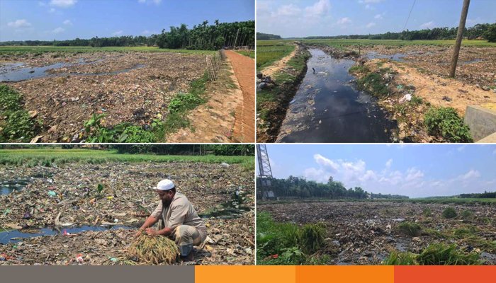 রোহিঙ্গা ক্যাম্পে বর্জ্য ব্যবস্থাপনার অভাবে বিপন্ন কৃষিজমি রোহিঙ্গা ক্যাম্পে বর্জ্য ব্যবস্থাপনার অভাবে বিপন্ন কৃষিজমি