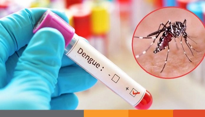 বরগুনায় ডেঙ্গু পরিস্থিতি নিয়ন্ত্রণহীন, বাড়ছে মৃত্যুর মিছিল