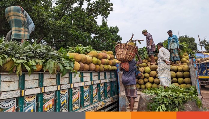 জাতীয় ফল কাঁঠাল পার্বত্য চট্টগ্রামে আবাদি জমি কমলেও ফলন ক্রমবর্ধমান