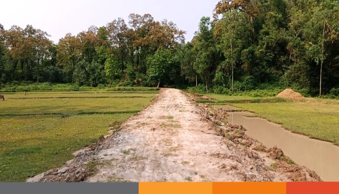 ঝড়ে পড়ে যাওয়া গাছ সরিয়ে সচল হচ্ছে পুরোনো পাহাড়ি পথ
