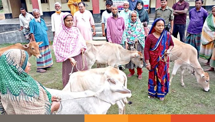 দিনাজপুরে বিনামূল্যে উপকার ভোগীদের মাঝে গরু বিতরণ অনুষ্ঠানে ইউএনও বিরল
