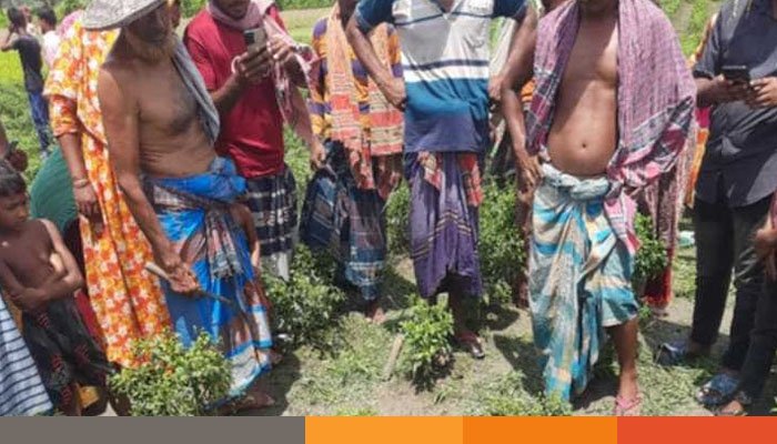 ঝিনাইদহে ছেলের হাতে বাবা খুন