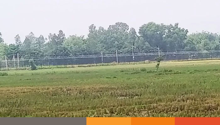 দিনাজপুর সীমান্ত দিয়ে ১৫ জনকে পুশইন বিএসএফের