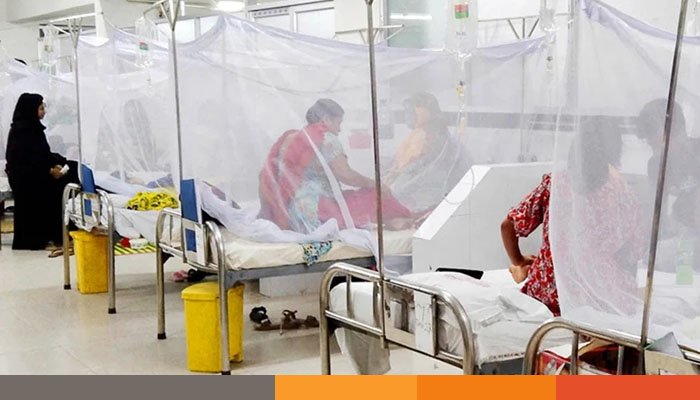 ডেঙ্গু আক্রান্ত হয়ে ২৬ জন হাসপাতালে ভর্তি