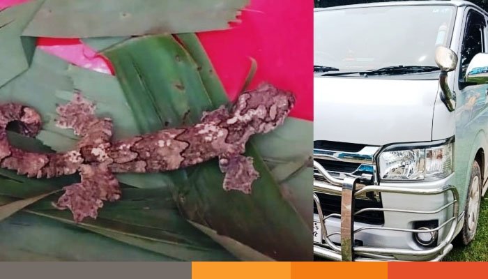 নেত্রকোনায় তক্ষক পাচারের সময় আটক ৯, মাইক্রোবাস জব্দ