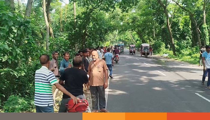 ঝিনাইদহে সড়ক থেকে গৃহবধূর ছিন্নভিন্ন মরদেহ উদ্ধার