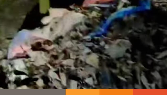 জঙ্গলে মিলল নারীর গলাকাটা মরদেহ