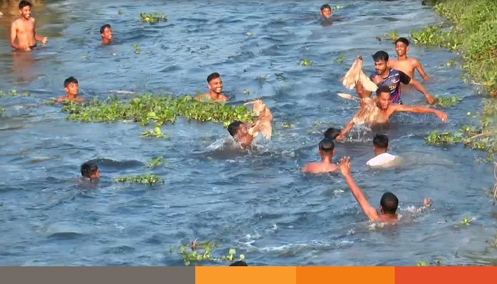 সোনারগাঁয়ে নদী,খাল ও পুকুর রক্ষায় ঐতিহ্যবাহী 'হাঁস ধরা' খেলা অনুষ্ঠিত