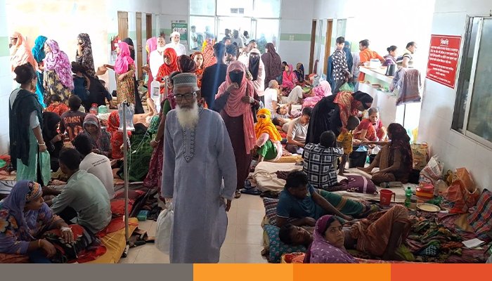 ডেঙ্গুর হটস্পট বরগুনা: মৃত্যু ১৩, বাড়ছে আক্রান্তের সংখ্যা