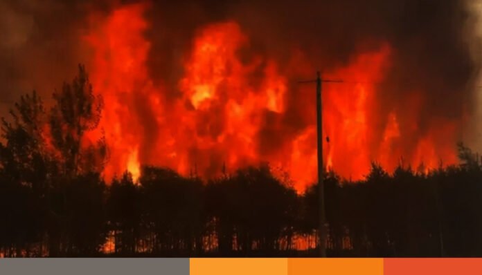কানাডায় দ্রুত ছড়াচ্ছে ভয়াবহ দাবানল, সরিয়ে নেয়া হচ্ছে হাজারো মানুষ কানাডায় দ্রুত ছড়াচ্ছে ভয়াবহ দাবানল, সরিয়ে নেয়া হচ্ছে হাজারো মানুষ