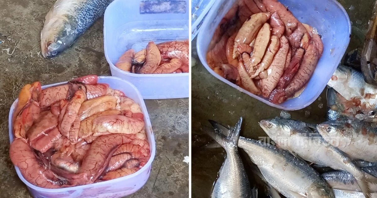 -f7fd3e0475707cc1a91056e485ed9faa