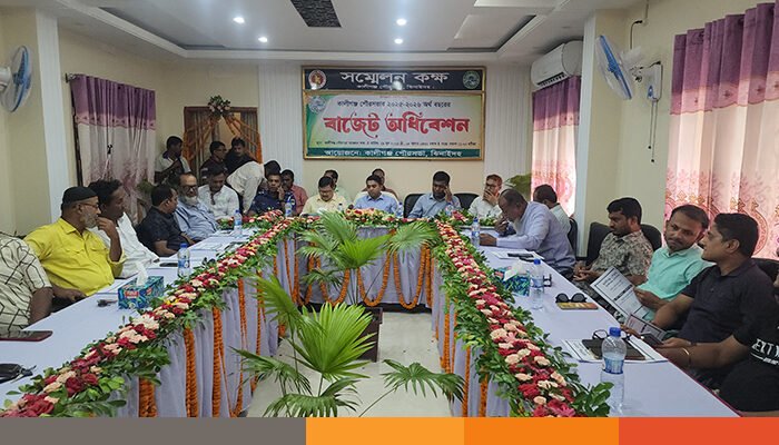 কালীগঞ্জ পৌরসভার বাজেট ঘোষণা