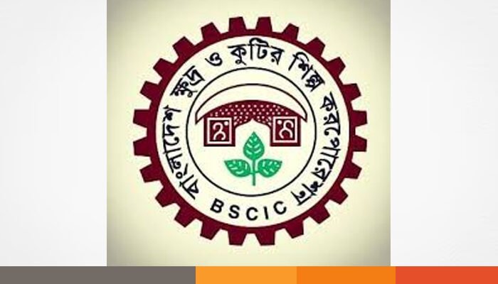 উদ্যোক্তার অভাবে অচল লালমনিরহাট বিসিক, থমকে শিল্পায়নের স্বপ্ন