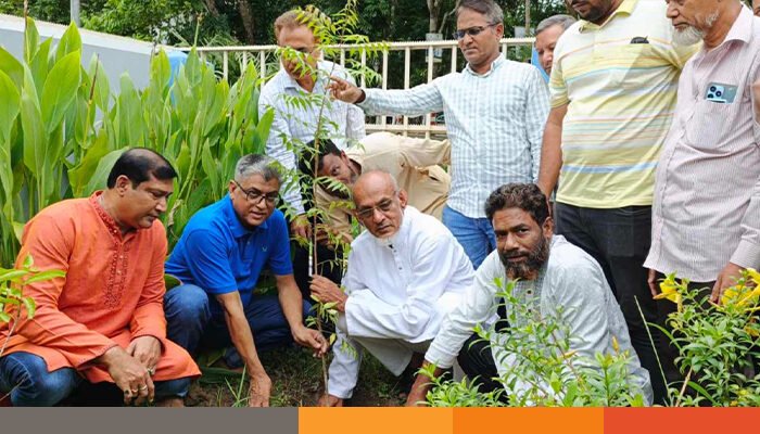 বিশ্ব পরিবেশ দিবস উপলক্ষে পিরোজপুরে বিএনপির বৃক্ষরোপণ বিশ্ব পরিবেশ দিবস উপলক্ষে পিরোজপুরে বিএনপির বৃক্ষরোপণ