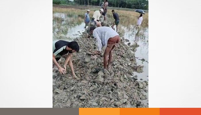 রাঙ্গাবালীতে সরকারি অর্থে নির্মিত রাস্তা কেটে ফেলার অভিযোগ