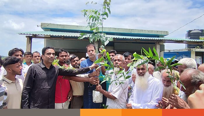 ডাঃ জোবায়দা রহমানের জন্মবার্ষিকীতে নারায়ণগঞ্জে বিএনপির বৃক্ষরোপণ, বিতরণ ও শোভাযাত্রা অনুষ্ঠিত