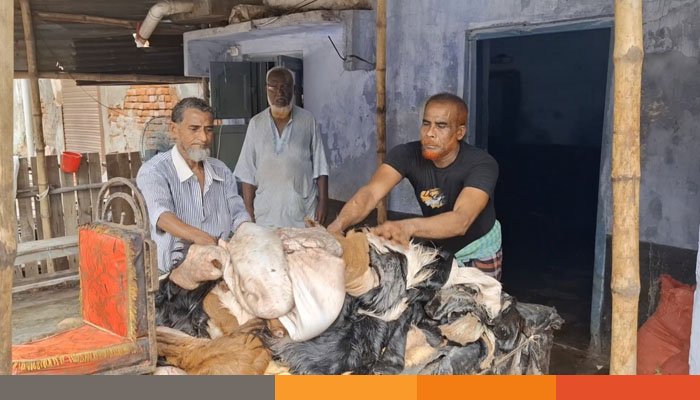 ঝিনাইদহ চামড়া সংগ্রহে ব্যস্ত আড়তদাররা, দামে হতাশ মৌসমি ব্যবসায়ীরা