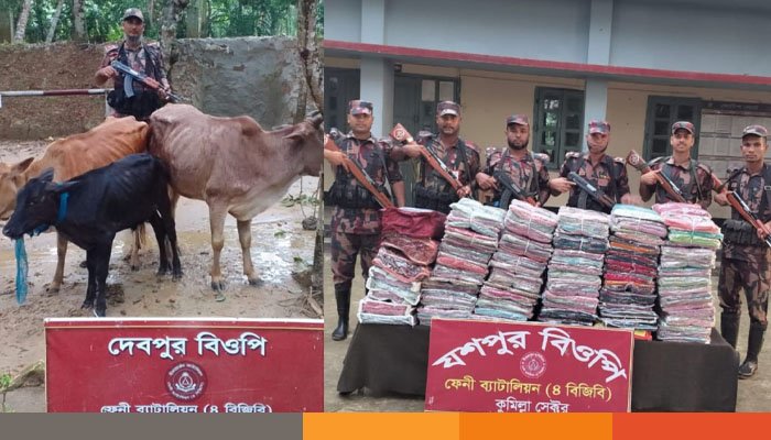 ফেনী সীমান্তে বিজিবির অভিযান: ১৮ লাখ টাকার ভারতীয় শাড়ি-লেহেঙ্গা জব্দ, আটক ১৭৩টি গরু