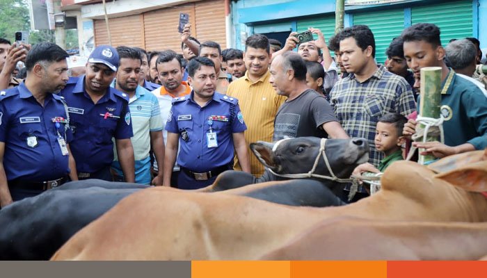 ফেনীর বিভিন্ন পশুর হাট পরিদর্শনে পুলিশ সুপার: প্রতারণা ও জাল টাকার বিষয়ে সতর্ক থাকার আহ্বান