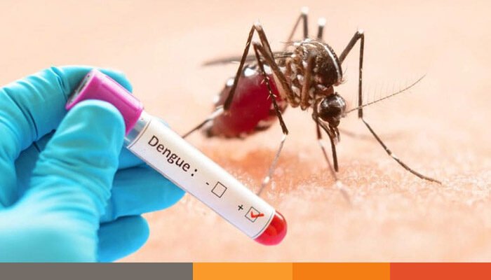 চট্টগ্রামে বাড়ছে ডেঙ্গু, ২ জনের জিকা ভাইরাস শনাক্ত চট্টগ্রামে বাড়ছে ডেঙ্গু, ২ জনের জিকা ভাইরাস শনাক্ত