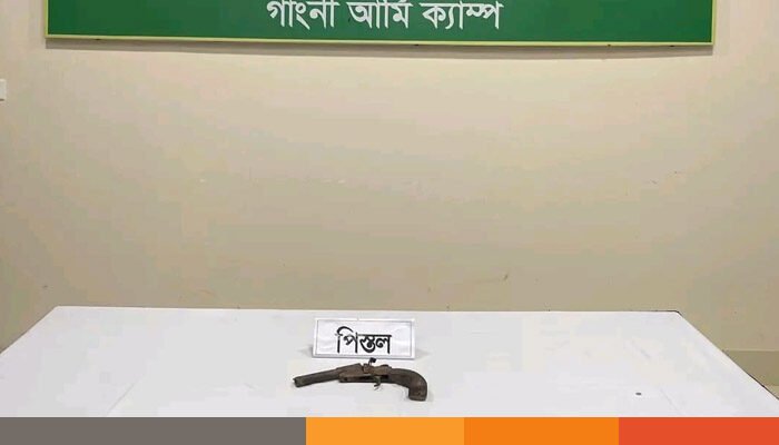 মেহেরপুরে সড়কের পাশ থেকে পরিত্যক্ত ওয়ান শার্টারগান উদ্ধার