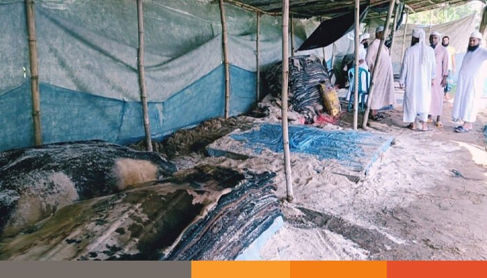 ঢাকার ট্যানারির অনাগ্রহে নেত্রকোনায় চামড়া বিপণনে সংকট ঢাকার ট্যানারির অনাগ্রহে নেত্রকোনায় চামড়া বিপণনে সংকট