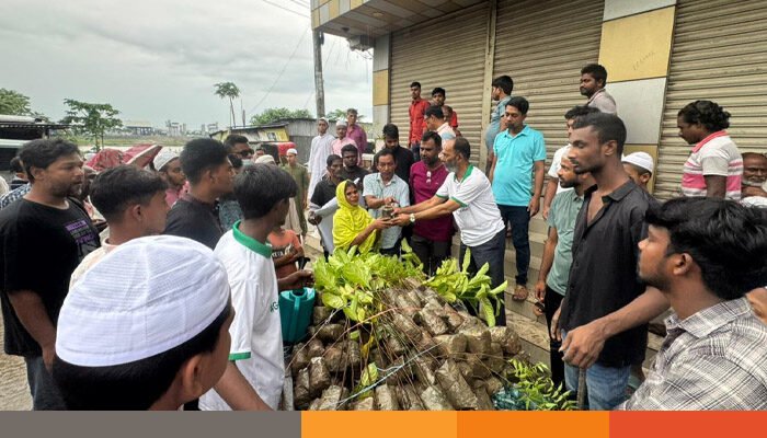 ময়মনসিংহ নগরীর পরিবেশ বাচাঁতে অন্তত একটি করে গাছ লাগান : এম এ হান্নান খান ময়মনসিংহ নগরীর পরিবেশ বাচাঁতে অন্তত একটি করে গাছ লাগান : এম এ হান্নান খান