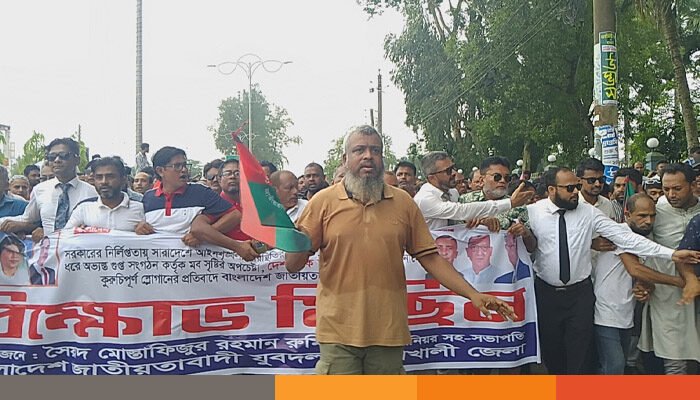 দেশের আইনশৃঙ্খলার অবনতির প্রতিবাদে পটুয়াখালীতে যুবদলের বিক্ষোভ