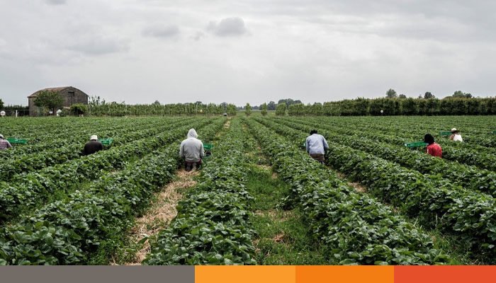 বাংলাদেশসহ ৩৪ দেশ থেকে ৫ লাখ শ্রমিক নেবে ইতালি