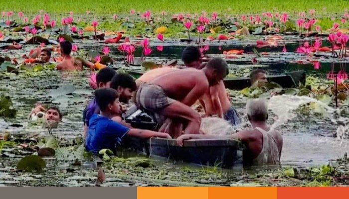 গাজীপুরে শাপলা বিলে নৌকা ডুবে দুই বন্ধু নিহত