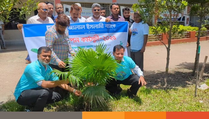 লক্ষ্মীপুরে শাহজালাল ইসলামী ব্যাংকের বৃক্ষরোপণ কর্মসূচি অনুষ্ঠিত
