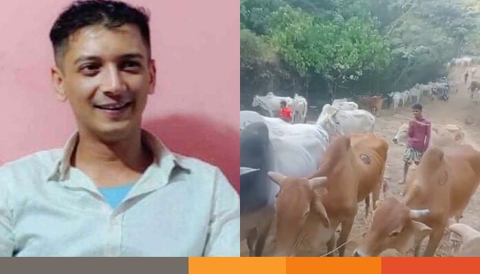 জেলে বসেই গরু চোরাচালান নিয়ন্ত্রণে মরিয়া ‘ডাকাত’ শাহীন