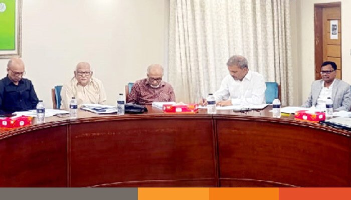 গণভোট বা বিশেষ আদেশে জুলাই সনদ বাস্তবায়নের পরামর্শ