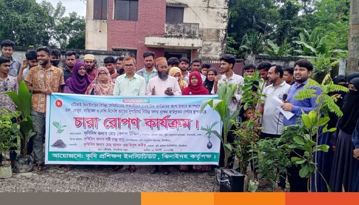 ঝিনাইদহে সবুজ ক্যাম্পাস বিনির্মাণে ১২ শতাধিক গাছের চারা রোপন