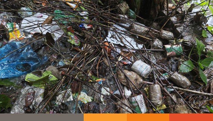 রূপগঞ্জে অধ্যক্ষের নির্দেশে এক হাজার সরকারি চারা খালে ফেলার অভিযোগ রূপগঞ্জে অধ্যক্ষের নির্দেশে এক হাজার সরকারি চারা খালে ফেলার অভিযোগ