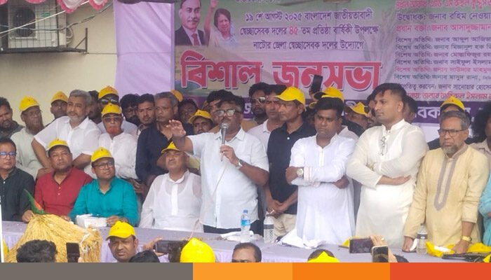 সময় এখন গণতন্ত্রের পথে ফিরে আসার: দুলু