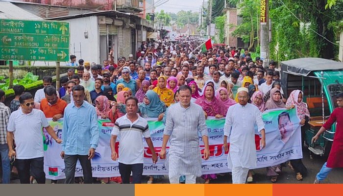 জুলাই গণঅভ্যুত্থান উদযাপন উপলক্ষে শ্রীবরদীতে বিএনপি’র বর্ণাঢ্য বিজয় র‌্যালি