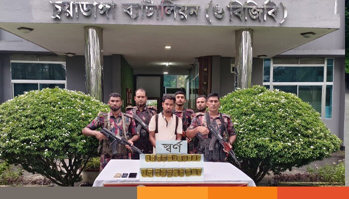 চুয়াডাঙ্গায় বিজিবির অভিযানে ২১ স্বর্ণবারসহ আটক ১